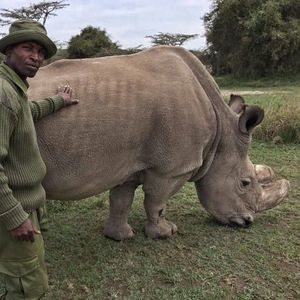 Meet your Posher, Joseph